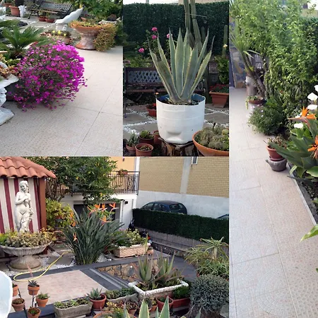 Il Fauno - Suite&spa Scafati